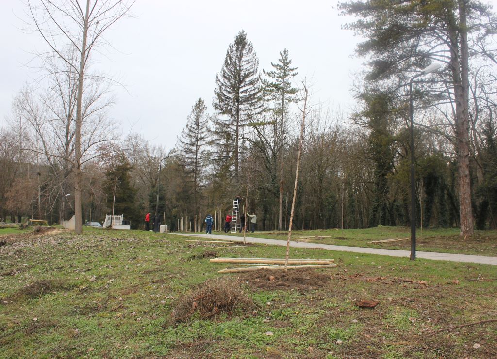 Десетки нови дървета бяха засадени в парковата и градска среда…