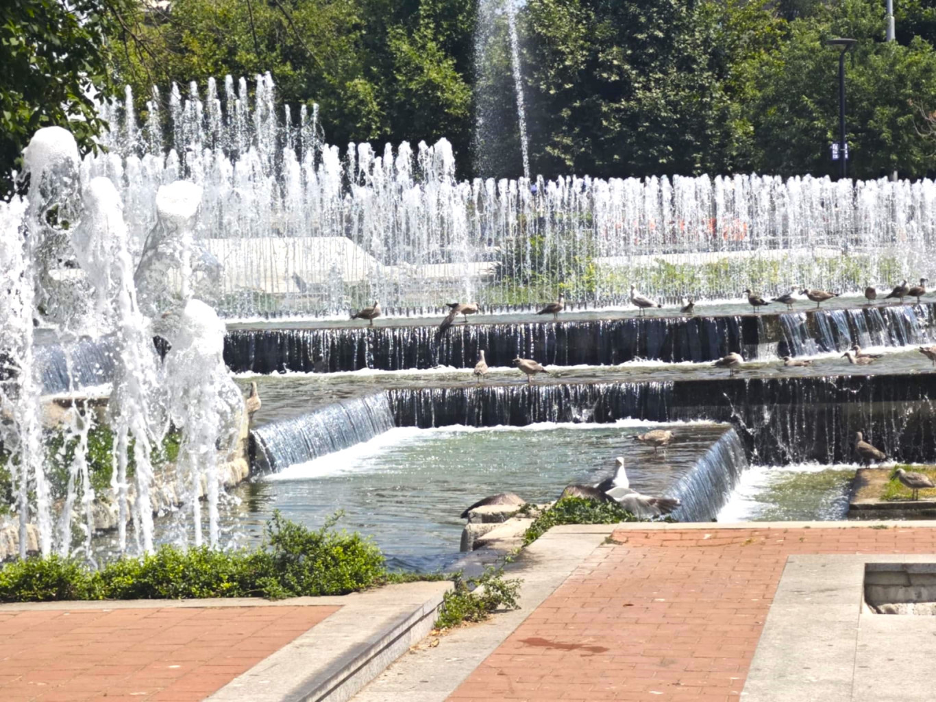Мнозина търсят прохлада край Водната каскада в Плевен