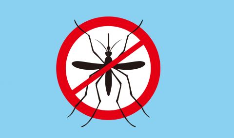 Наземна обработка срещу комари ще се извърши от  12 до…