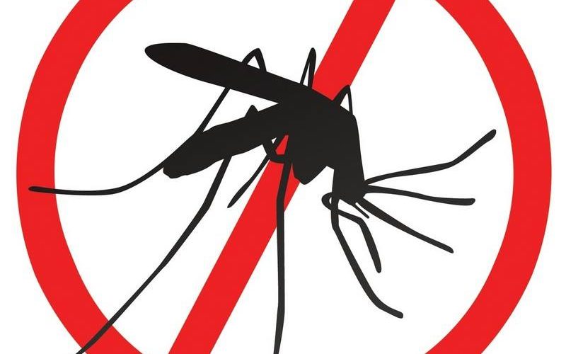 Обработка срещу ларви на комари се извърши днес в Плевен