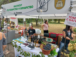 Третото издание на Фестивала на виното и фермерските деликатеси „Time for Wine“ ще се проведе в Плевен от 29 до 31 август