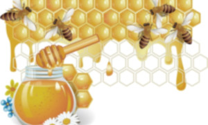 Конкурс за детска рисунка обявява…