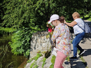 Започна засаждане на близо 200 ароматни водни лилии в парк „Кайлъка“