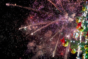 Грейнаха светлините на коледната елха в Плевен