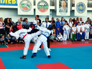 Повече от 200 таекуондисти мериха сили в осмия Национален детски турнир за купа „Плевен“  